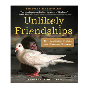 Unlikely Friendships Book