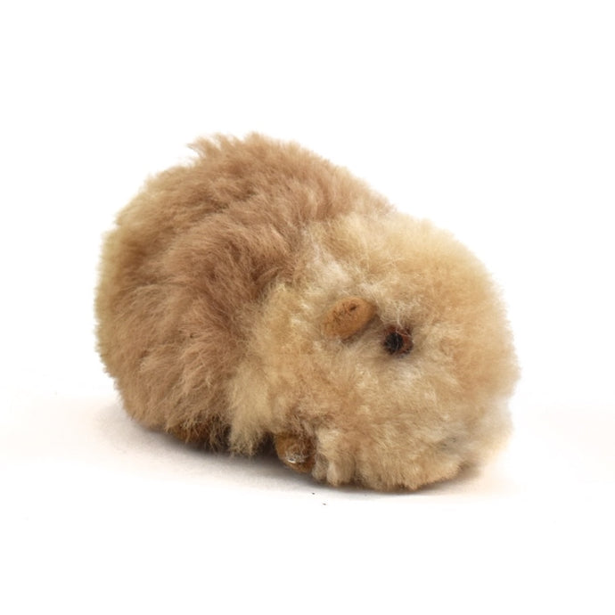 Small Alpaca Guinea Pig - Peru
