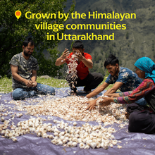 Pahadi Pink Garlic (Powder) - Single-Origin Spice