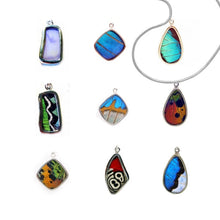 Butterfly Wing Necklace - Peru